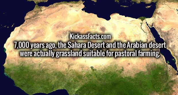 KickassFacts.com 7,000 years ago, the Sahara Desert and the Arabian desert were actually grassland suitable for pastoral farming.