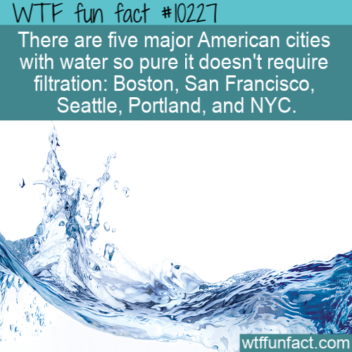 Water - Wtf fun fact There are five major American cities with water so pure it doesn't require filtration Boston, San Francisco, Seattle, Portland, and Nyc. wtffunfact.com
