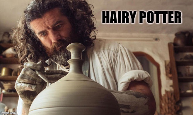 hairy potter - Hairy Potter imgflip.com