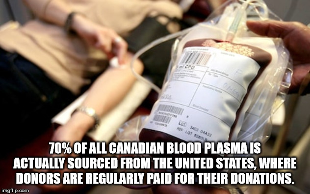 blood donor - Lot 3403 Lazz Nef Lot 660 70% Of All Canadian Blood Plasma Is Actually Sourced From The United States. Where Donors Are Regularly Paid For Their Donations. imgflip.com