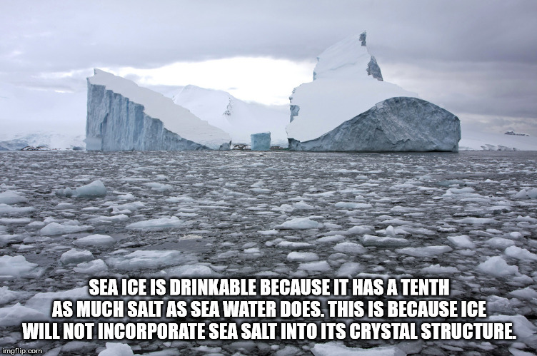 arctic ocean - Sea Ice Is Drinkable Because It Has A Tenth As Much Salt As Sea Water Does. This Is Because Ice Will Not Incorporate Sea Salt Into Its Crystal Structure imgflip.com