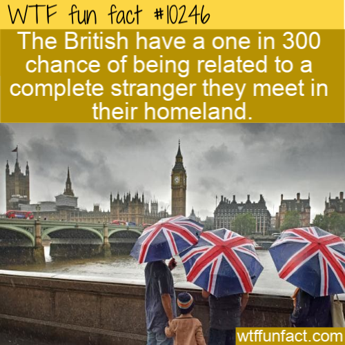 great britain - Wtf fun fact The British have a one in 300 chance of being related to a complete stranger they meet in their homeland. wtffunfact.com