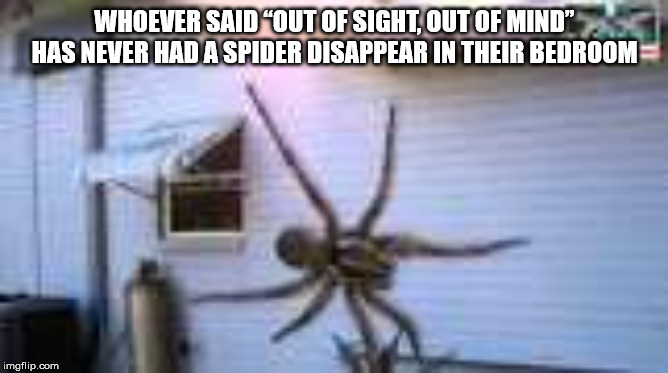 Shower Thoughts to Denormalize Your Monday