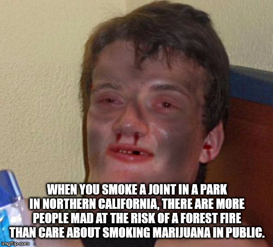 photo caption - When You Smoke A Joint In A Park In Northern California, There Are More People Mad At The Risk Of A Forest Fire Than Care Arout Smoking Marijuana In Public. imgflip.com