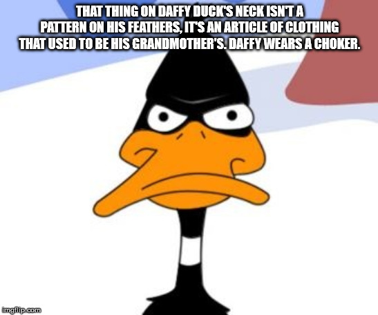 cartoon - That Thing On Daffy Duck'S Neck Isnta Pattern On His Feathers, It'S An Article Of Clothing That Used To Be His Grandmother'S. Daffy Wears A Choker. imgflip.com