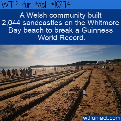 soil - Wtf fun fact A Welsh community built 2,044 sandcastles on the Whitmore Bay beach to break a Guinness World Record. wtffunfact.com