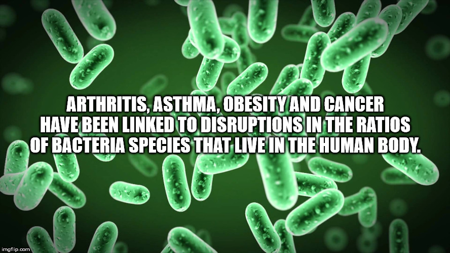 microbiology assignment - Arthritis, Asthma, Obesity And Cancer Have Been Linked To Disruptions In The Ratios Of Bacteria Species That Live In The Human Body. imgflip.com