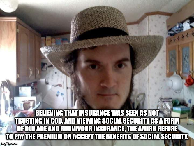 feeling kinda cute meme - Ed Believing That Insurance Was Seen As Not Trusting In God.And Viewing Social Security As A Form Of Old Age And Survivors Insurance, The Amish Refuse To Pay The Premium Or Accept The Benefits Of Social Security imgflip.com