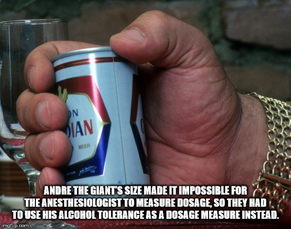 andre the giant beer hand - Beer Andre The Giants Size Made It Impossible For The Anesthesiologist To Measure Dosage, So They Had To Use His Alcohol Tolerange As A Dosage Measure Instead. imgflip.com
