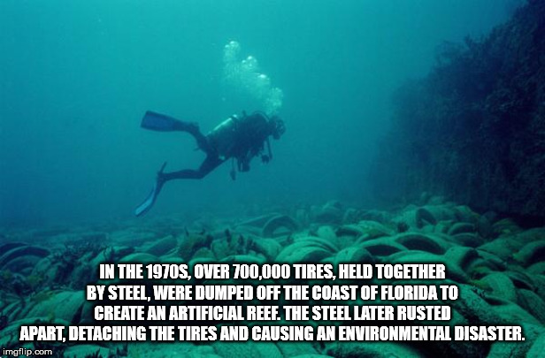 artificial reef - In The 1970S, Over 700,000 Tires, Held Together By Steel, Were Dumped Off The Coast Of Florida To Create An Artificial Reef. The Steel Later Rusted Apart, Detaching The Tires And Causing An Environmental Disaster. imgflip.com