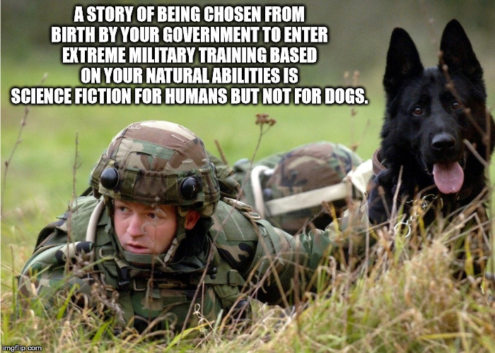 A Story Of Being Chosen From Birth By Your Government To Enter Extreme Military Training Based On Your Natural Abilities Is Science Fiction For Humans But Not For Dogs. imgflip.com