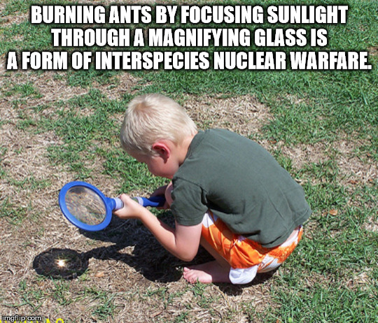 boy killing ant - Burning Ants By Focusing Sunlight Through A Magnifying Glass Is A Form Of Interspecies Nuclear Warfare. imgflip.com