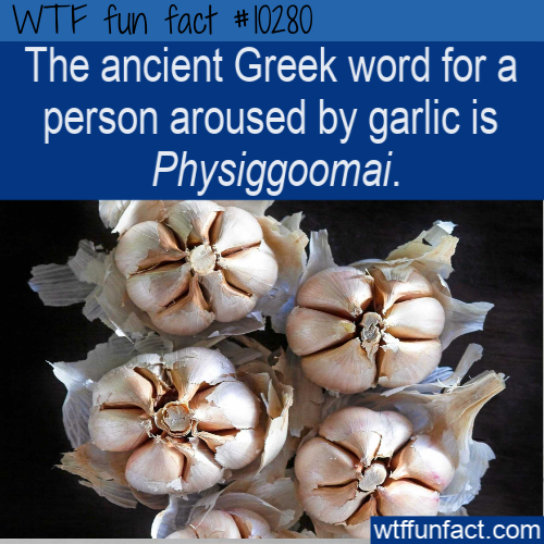 garlic - Wtf fun fact The ancient Greek word for a person aroused by garlic is Physiggoomai. wtffunfact.com