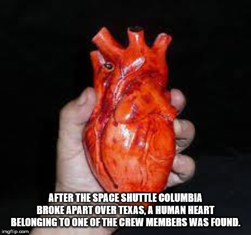 Heart - After The Space Shuttle Columbia Broke Apart Over Texas, A Human Heart Belonging To One Of The Crew Members Was Found. imgflip.com