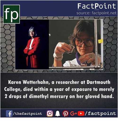 dogs have williams syndrome - FactPoint source factpoint.net Karen Wetterhahn, a researcher at Dartmouth College, died within a year of exposure to merely 2 drops of dimethyl mercury on her gloved hand. fthefactpoint Old G factpoint