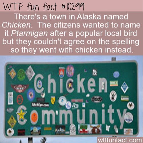 banner - Wtf fun fact There's a town in Alaska named Chicken. The citizens wanted to name it Ptarmigan after a popular local bird but they couldn't agree on the spelling so they went with chicken instead. Al .com wtffunfact.com