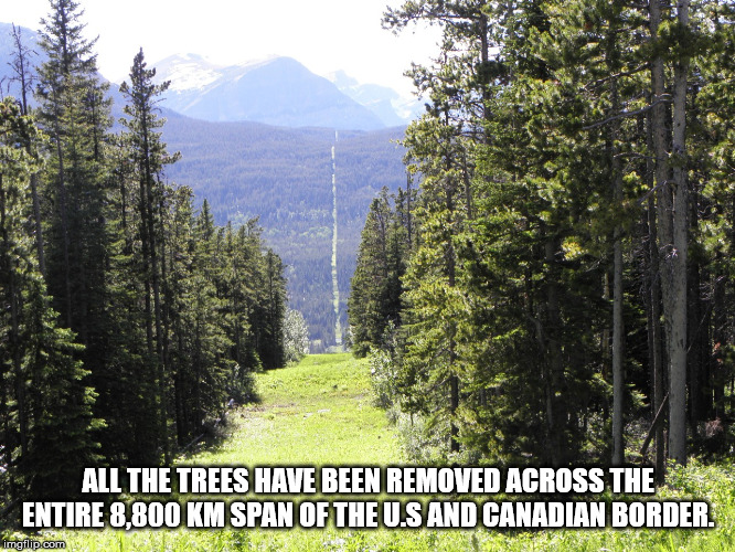 us canada border line - All The Trees Have Been Removed Across The Entire 8,800 Km Span Of The U.S And Canadian Border. imgflip.com