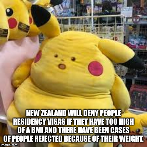 fat pikachu - New Zealand Will Deny People Residency Visas If They Have Too High Of Armi And There Have Been Cases Of People Rejected Because Of Their Weight. imgflip.com