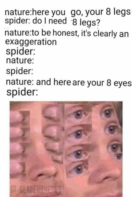 lip - naturehere you go, your 8 legs spider do I need 8 legs? natureto be honest, it's clearly an exaggeration spider nature spider nature and here are your 8 eyes spider a Deadendmemes