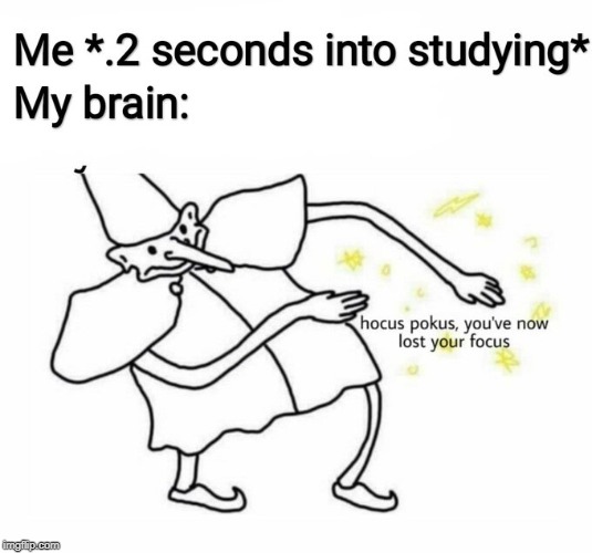 funny study memes - Me.2 seconds into studying My brain hocus pokus, you've now lost your focus ingit.com