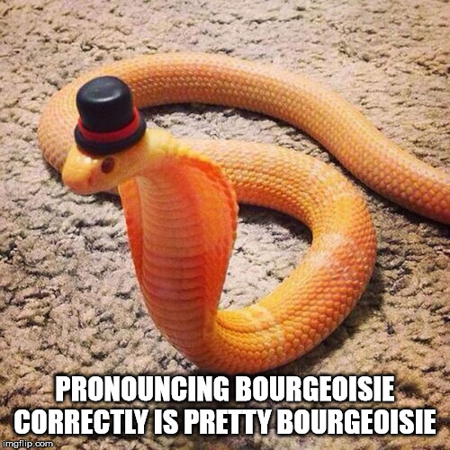 Shower Thoughts Again