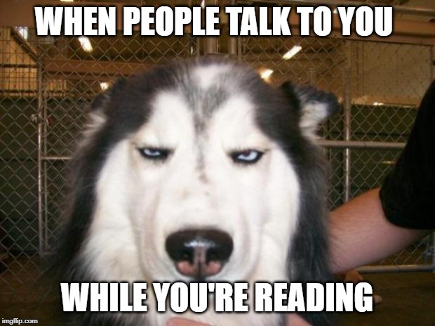 alaskan malamute - When People Talk To You While You'Re Reading imgflip.com