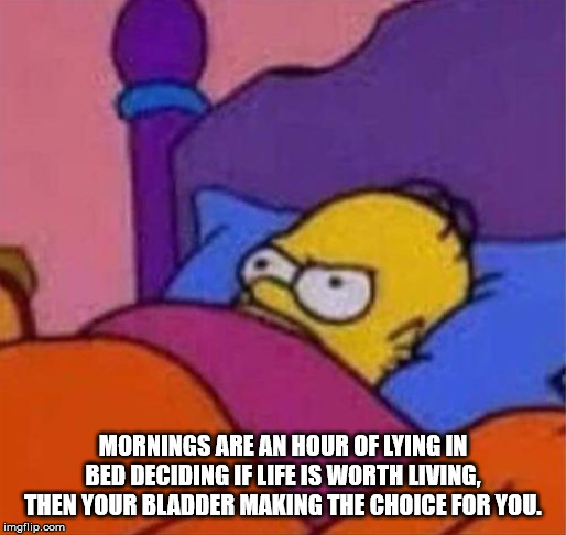 angry homer meme - Mornings Are An Hour Of Lying In Bed Deciding If Life Is Worth Living, Then Your Bladder Making The Choice For You. imgflip.com