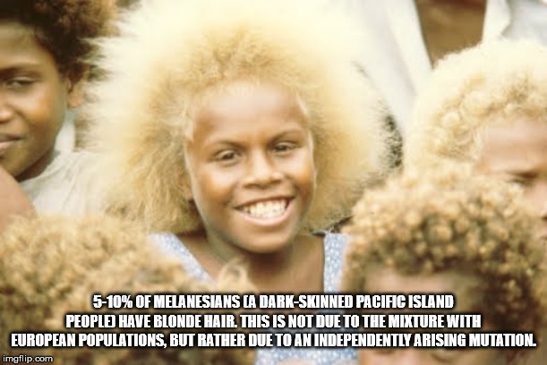 solomon islands black people - 510% Of Melanesians Ca DarkSkinned Pacific Island People Have Blonde Hair. This Is Not Due To The Mixture With European Populations, But Rather Due To An Independently Arising Mutation, imgflip.com