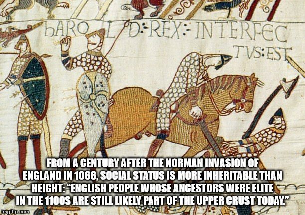 norman conquest - we AromalpdRex Interfec PivsEsta From A Century After The Norman Invasion Of England In 1066, Social Status Is More Inheritable Than Height English People Whose Ancestors Were Elite In The 1100S Are Still ly Part Of The Upper Crust Today