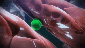 science cell gif