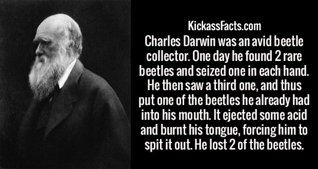 human behavior - KickassFacts.com Charles Darwin was an avid beetle collector. One day he found 2 rare beetles and seized one in each hand. He then saw a third one, and thus put one of the beetles he already had into his mouth. It ejected some acid and bu