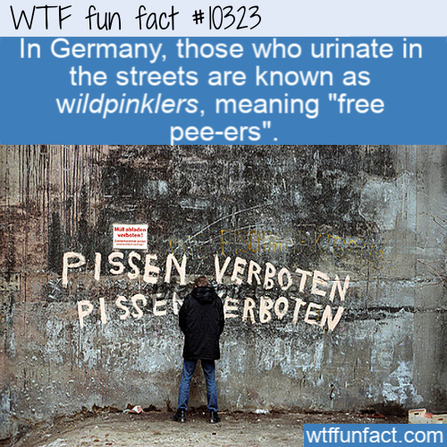 halla bol - Wtf fun fact In Germany, those who urinate in the streets are known as wildpinklers, meaning "free peeers" Pissen Verboten. Pisset Erboten wtffunfact.com