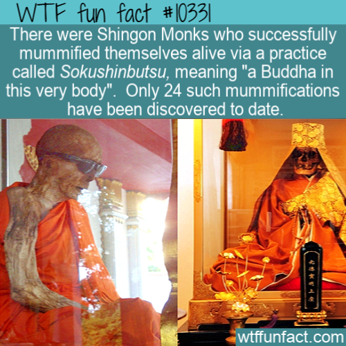 religion - Wtf fun fact There were Shingon Monks who successfully mummified themselves alive via a practice called Sokushinbutsu, meaning "a Buddha in this very body". Only 24 such mummifications have been discovered to date. wtffunfact.com