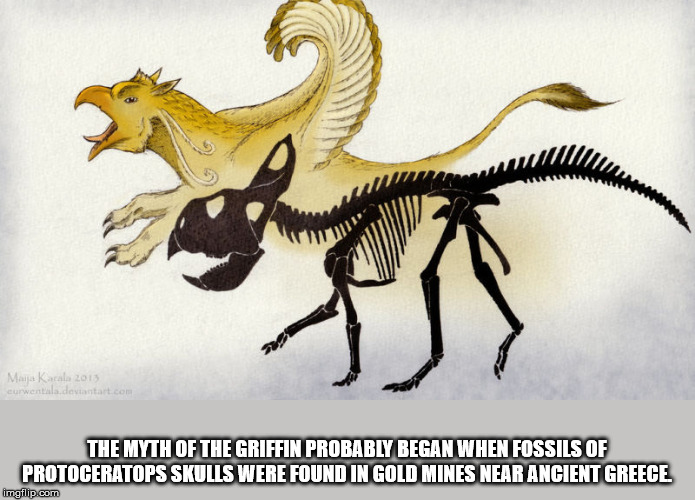 protoceratops griffin - Makala 2013 Curwentalado tantart.com The Myth Of The Griffin Probably Began When Fossils Of Protoceratops Skulls Were Found In Gold Mines Near Ancient Greece imgflip.com