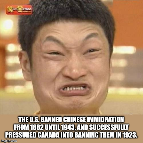 Amino - The U.S.Banned Chinese Immigration From 1882 Until 1943, And Successfully Pressured Canada Into Banning Them In 1923. imgflip.com