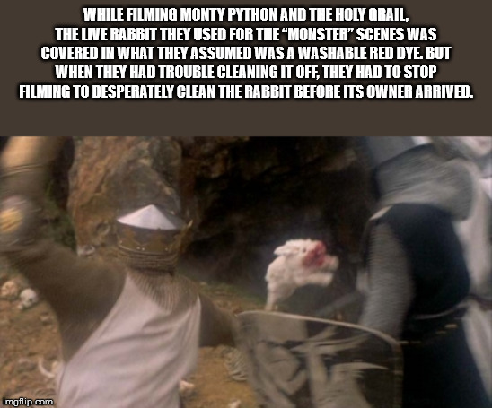 monty python and the holy - While Filming Monty Python And The Holy Grail. The Live Rabbit They Used For The Monster" Scenes Was Covered In What They Assumed Was A Washable Red Dye, But When They Had Trouble Cleaning It Off, They Had To Stop Filming To De