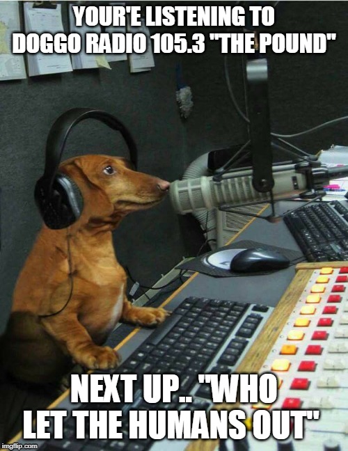 aint nothing but a hound dog meme - Your'E Listening To Doggo Radio 105.3 "The Pound" 1117111117 Next Up.."Who Let The Humans Out imgflip.com