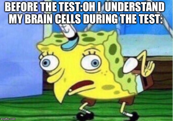 meme spongebob gay - Before The TestOh I Understand My Brain Cells During The Test imgflip.com