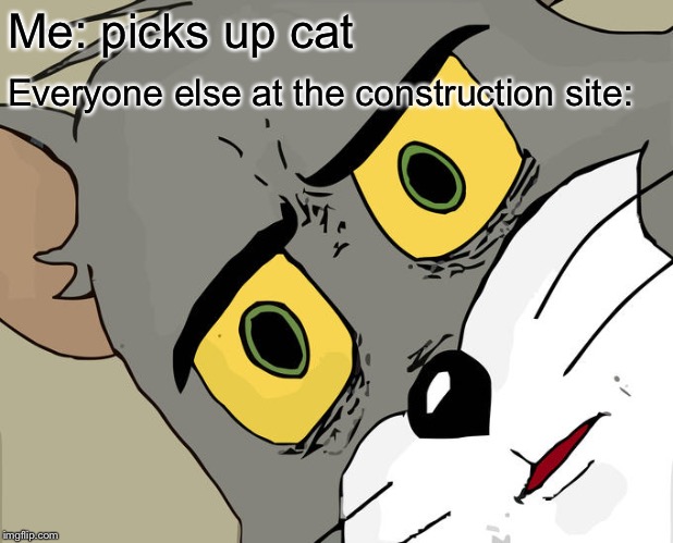 unsettled tom template - Me picks up cat Everyone else at the construction site imgflip.com