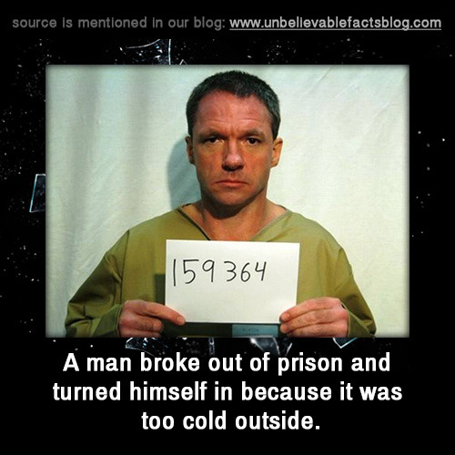 source is mentioned in our blog 159364 A man broke out of prison and turned himself in because it was too cold outside.