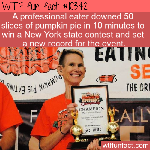 pumpkin pie eating record - Wtf fun fact A professional eater downed 50 slices of pumpkin pie in 10 minutes to win a New York state contest and set a new record for the event. E Eatin Se Ni 107 31a Nixdwn The Gre Champion Alt 50 Pieces wtffunfact.com