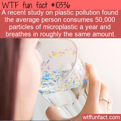 nail - Wtf fun fact A recent study on plastic pollution found the average person consumes 50,000 particles of microplastic a year and breathes in roughly the same amount. wtffunfact.com