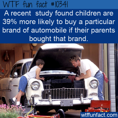 father son automotive - Wtf fun fact A recent study found children are 39% more ly to buy a particular brand of automobile if their parents bought that brand. wtffunfact.com