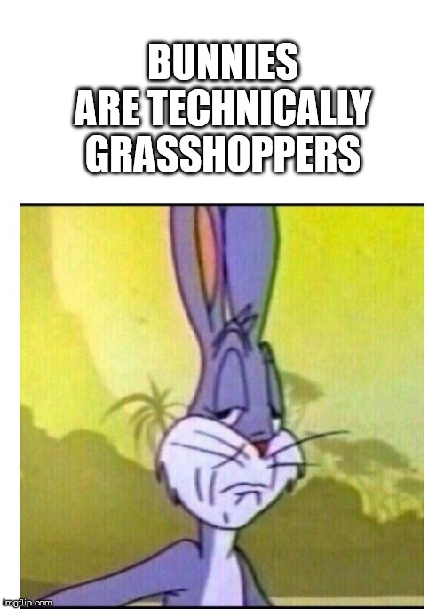 disappointed bugs bunny meme - Bunnies Are Technically Grasshoppers imgflip.com