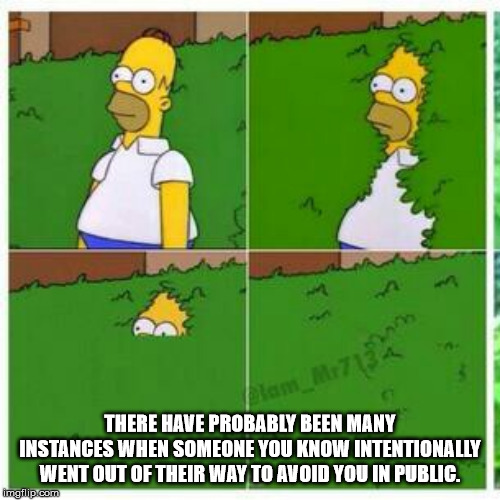 homer in bushes meme - There Have Probably Been Many Instances When Someone You Know Intentionally Went Out Of Their Way To Avoid You In Public. imgflip.com