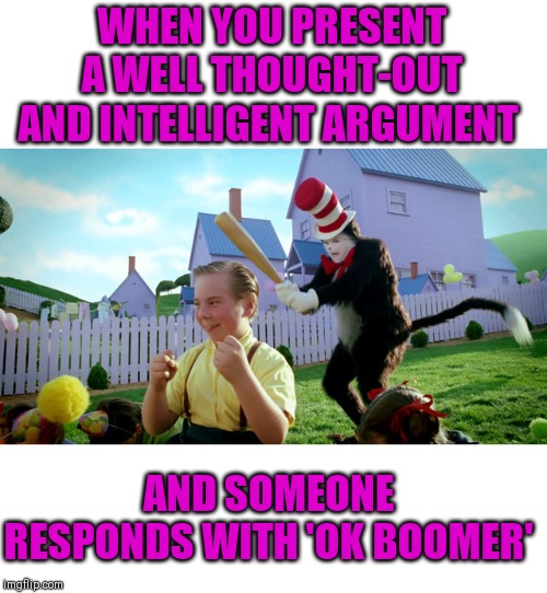 cat in the hat bat meme - When You Present Awell ThoughtOut And Intelligent Argument And Someone Responds With Yok Boomer imefilip.com