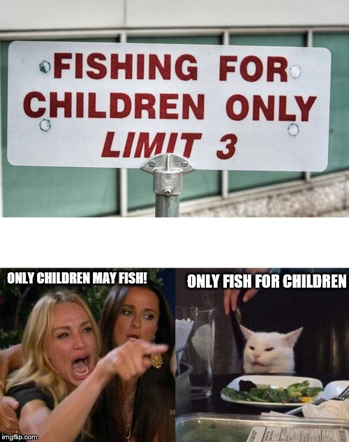 my roommate claiming our house is haunted meme - Fishing For Children Only Limit 3 Only Children May Fish! Only Fish For Children imgflip.com lar
