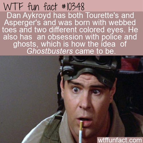 dan aykroyd ghostbusters - Wtf fun fact Dan Aykroyd has both Tourette's and Asperger's and was born with webbed toes and two different colored eyes. He also has an obsession with police and ghosts, which is how the idea of Ghostbusters came to be. wtffunf