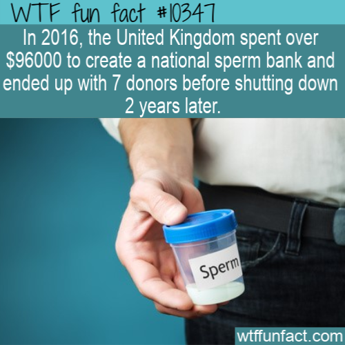 much sperm do you need to donate - Wtf fun fact In 2016, the United Kingdom spent over $96000 to create a national sperm bank and ended up with 7 donors before shutting down 2 years later Sperm wtffunfact.com
