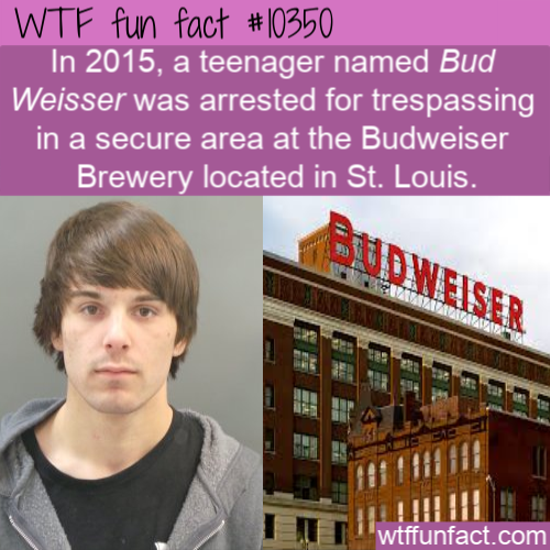 photo caption - Wtf fun fact In 2015, a teenager named Bud Weisser was arrested for trespassing in a secure area at the Budweiser Brewery located in St. Louis. wtffunfact.com